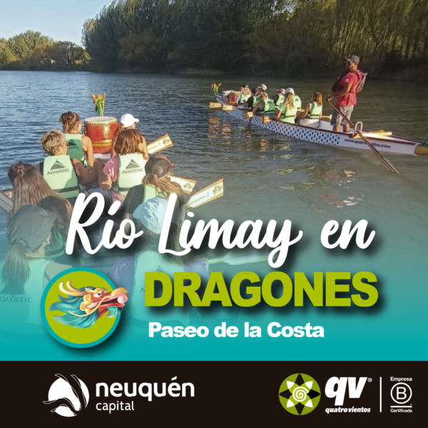 Dragones en el Río Limay
